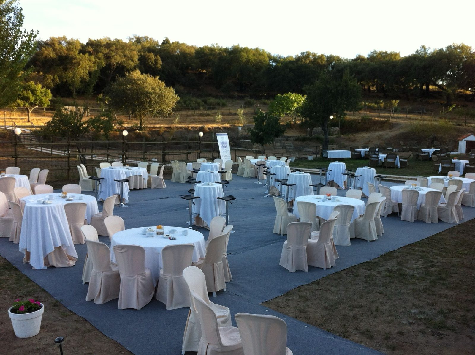 Celebración al aire libre en la finca